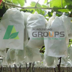 Alagundagi groups our product Fruit Cover