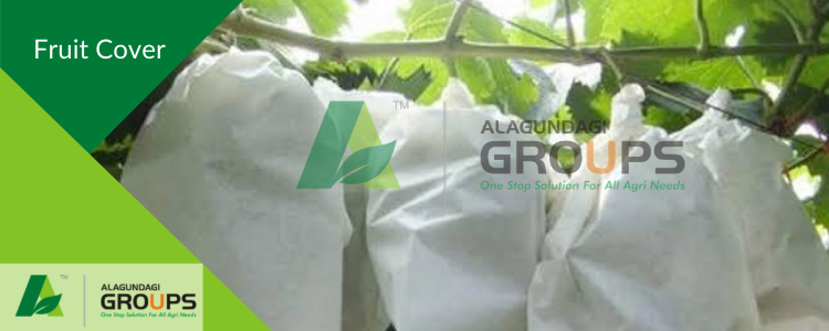 Alagundagi groups our product Fruit cover