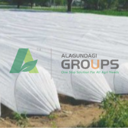 Alagundagi Groups  Crop Cover