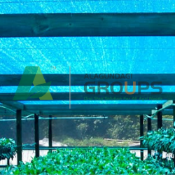 Alagundagi Groups  Shade Net