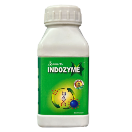 Indozyme Bio Chemical