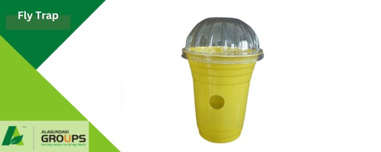 Alagundagi Groups  Fly Trap